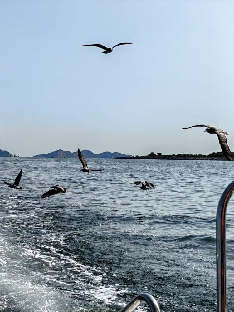 Photograph by Кристина Гареева