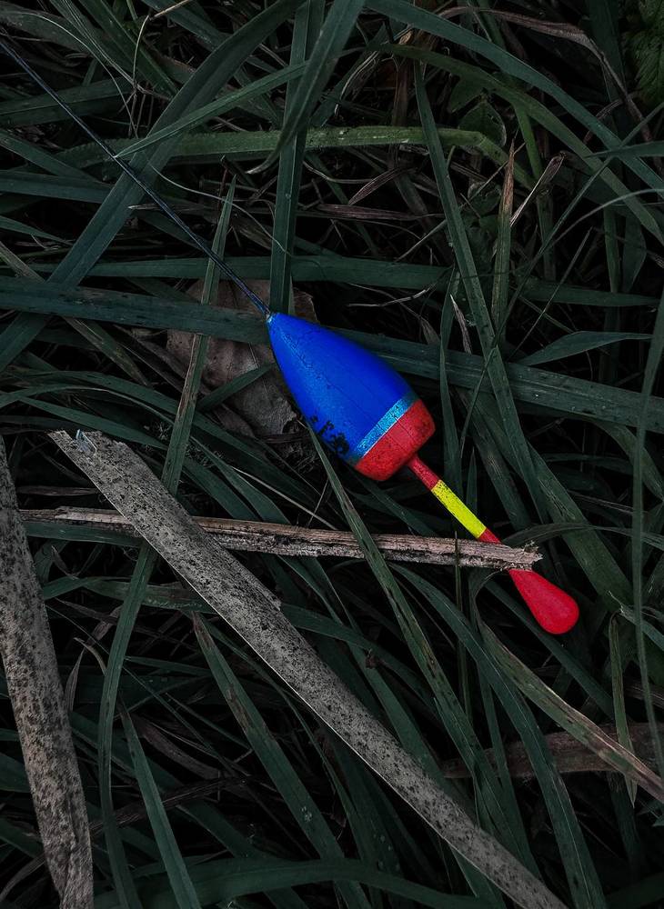 Photograph by Анна Пигулевская