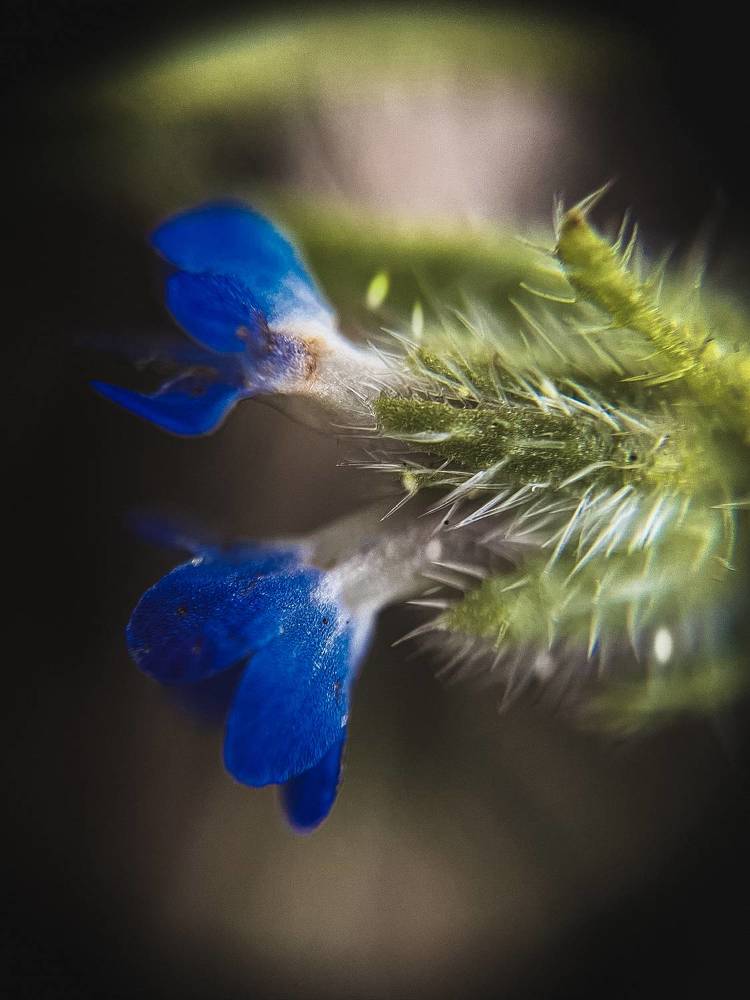 Photograph by Анна Пигулевская