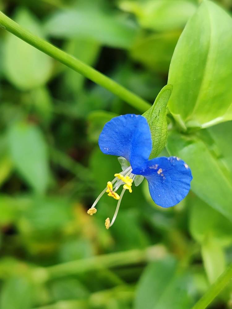 Photograph by Наталья Круглова