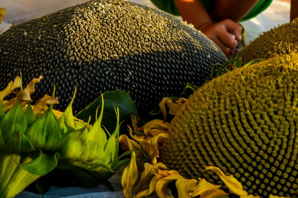 Photograph by Сергей Гуров