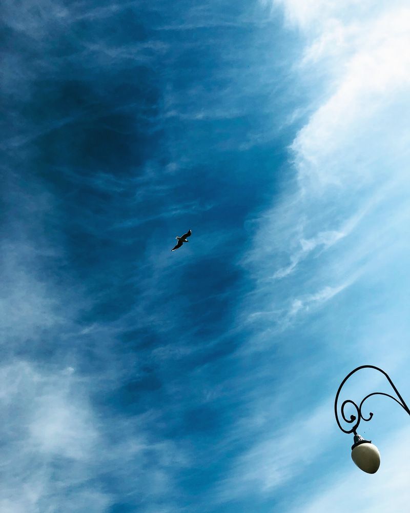 Фотография автора Зоя Мумина