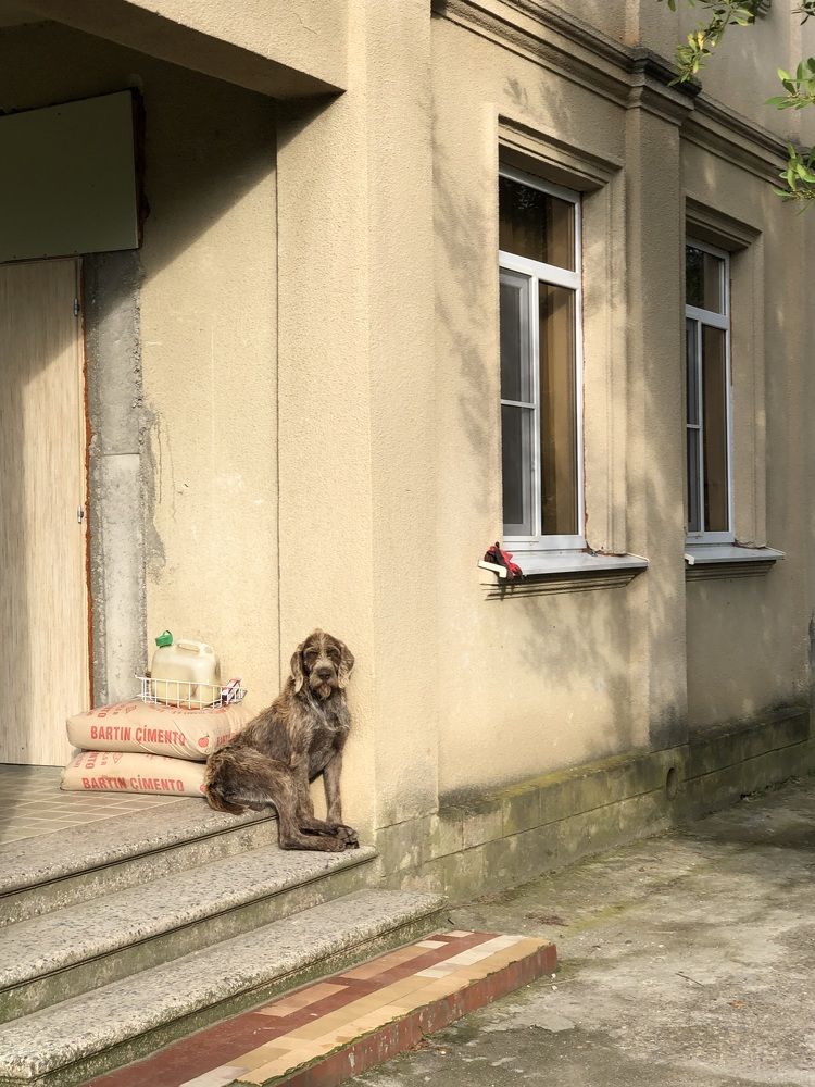 Photograph by Дина Ран