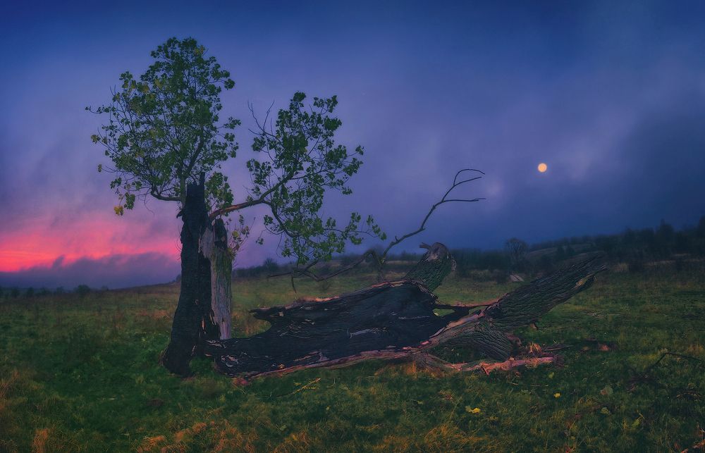 Photograph by Владимир