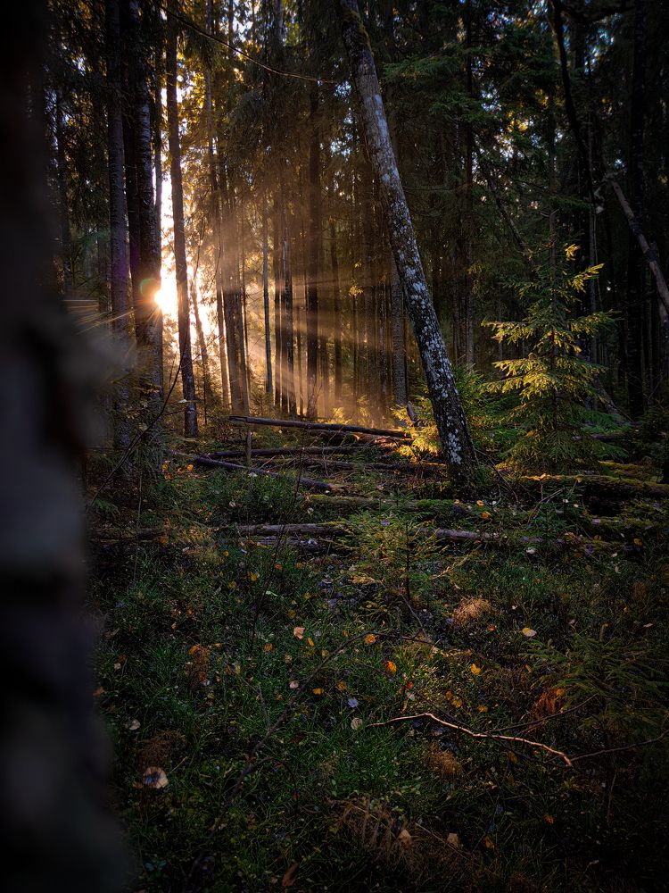 Photograph by Вадим Данилов