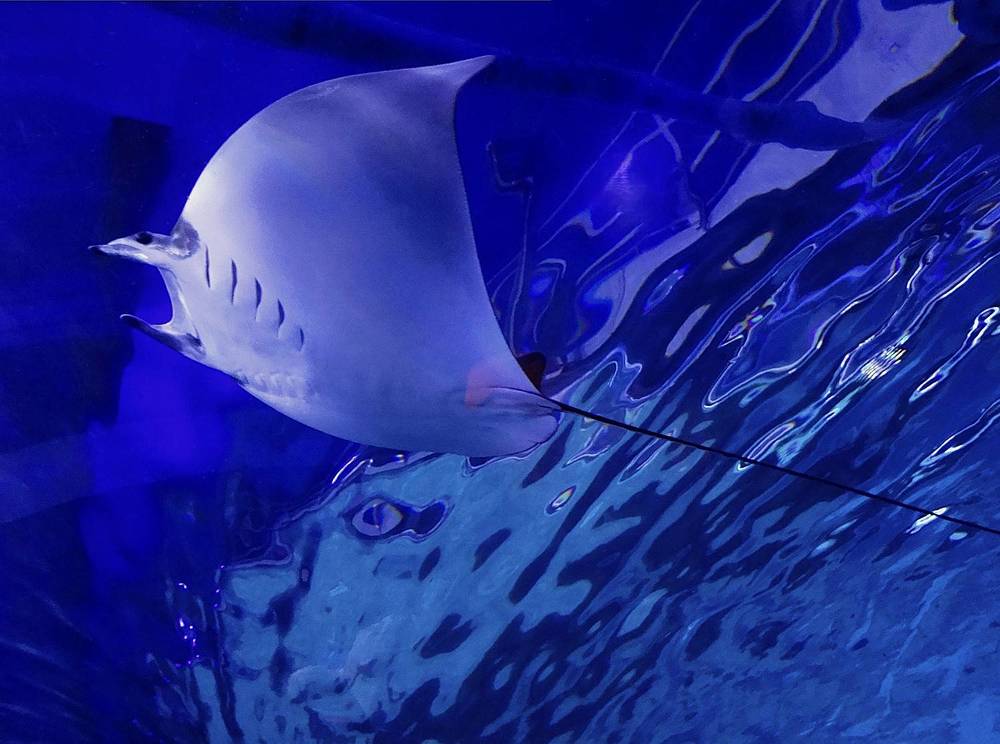 Photograph by Марина Раткун