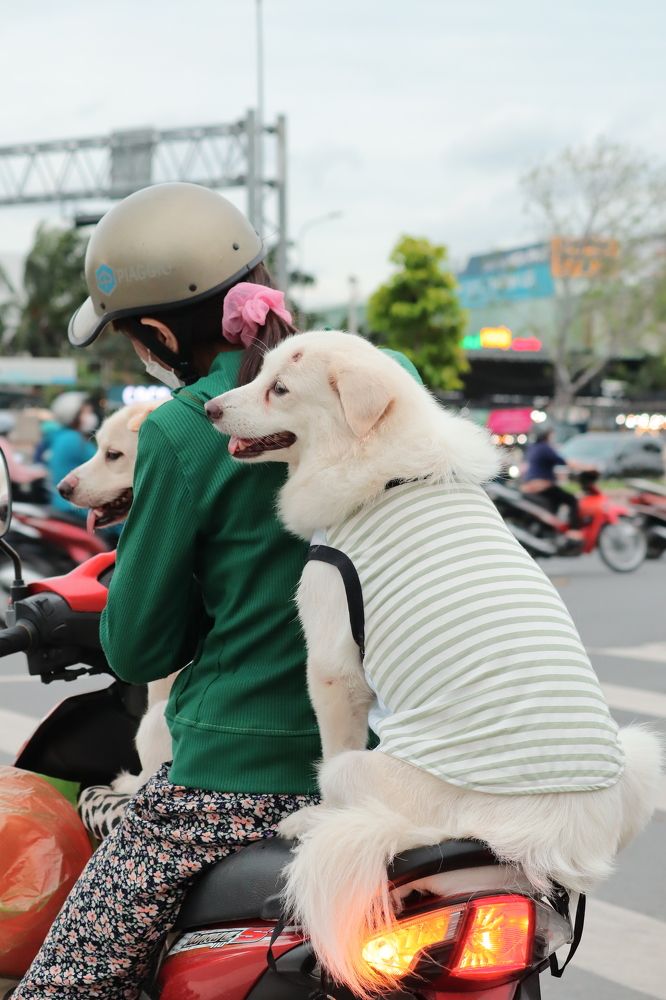 Photograph by Chau Nguyen