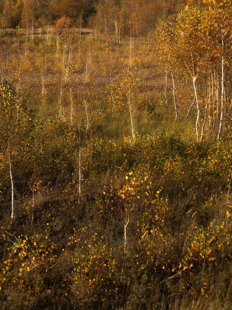 Photograph by Ксения Лаевская