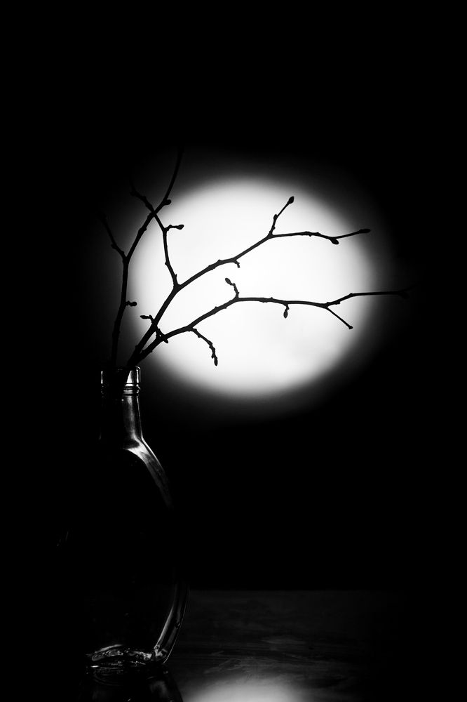 Photograph by Елена Кирикова