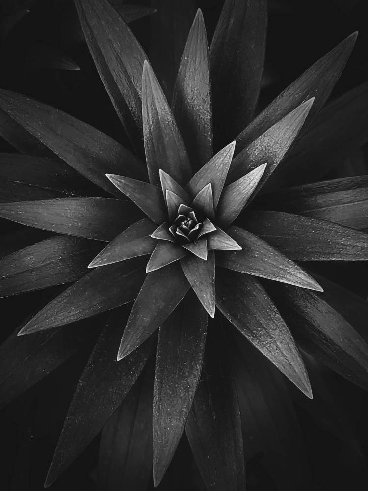 Photograph by Елена Кирикова