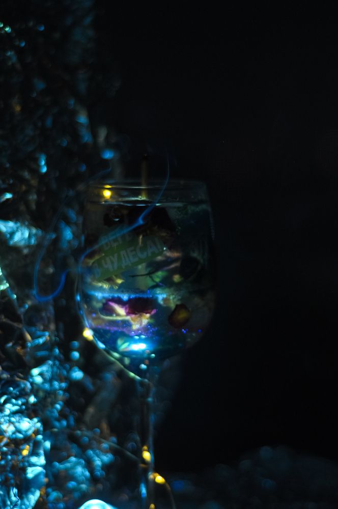 Photograph by Светлана Бачеко