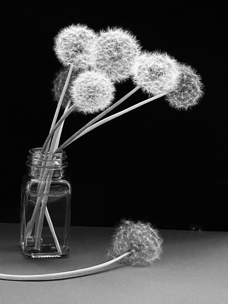 Photograph by Ольга Скиба