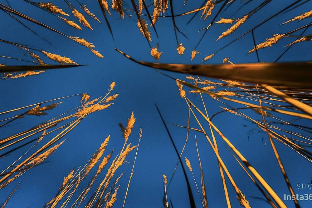 Photograph by Денис Нарышев