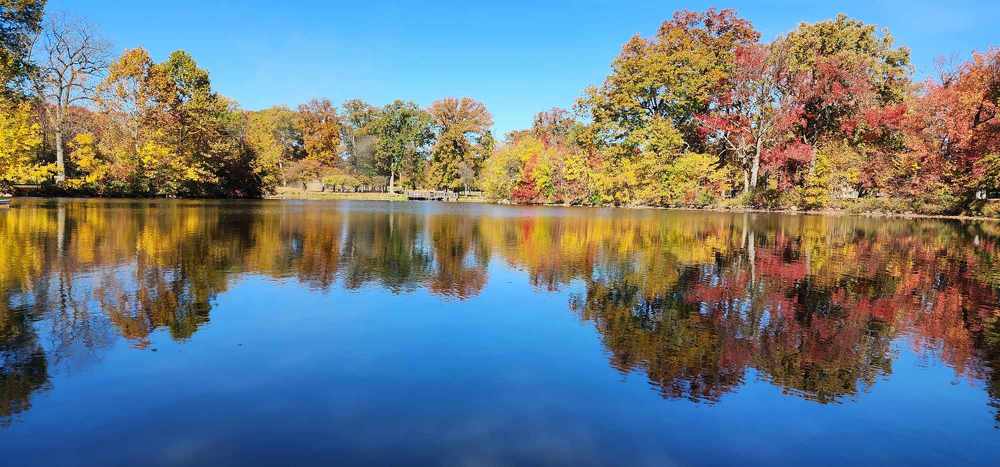 Фотография автора Adriana Rocha