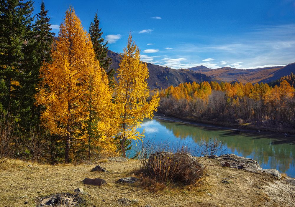 Photograph by Чичкин Валерий