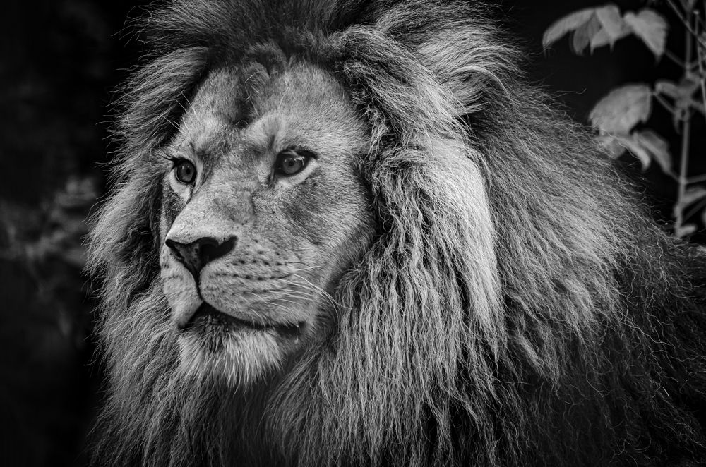 Photograph by Елена Берсенёва