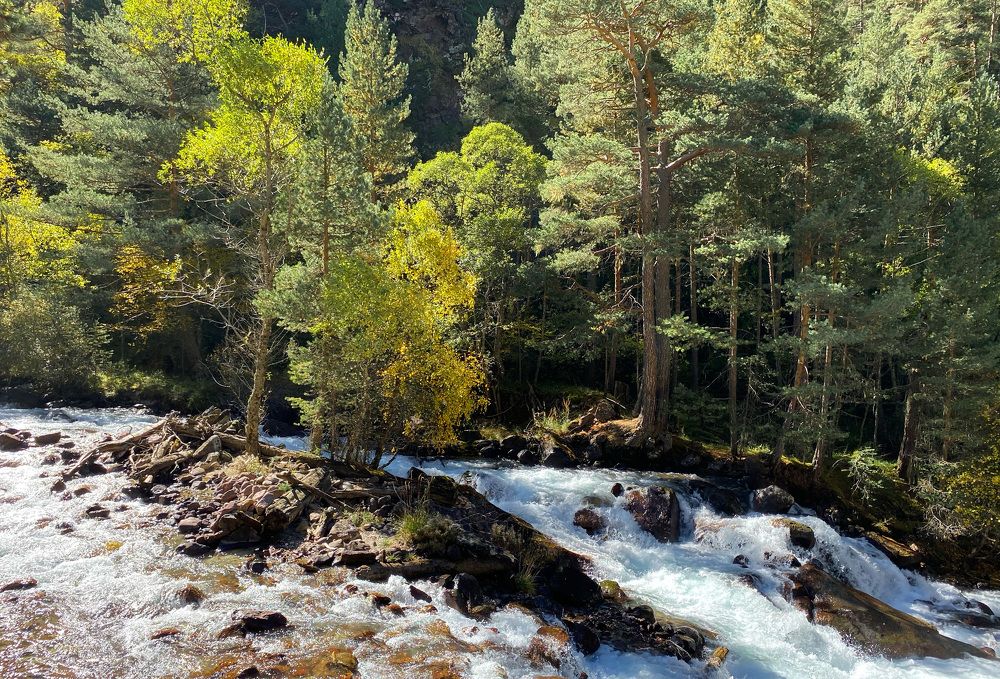 Photograph by Виталий Богачев