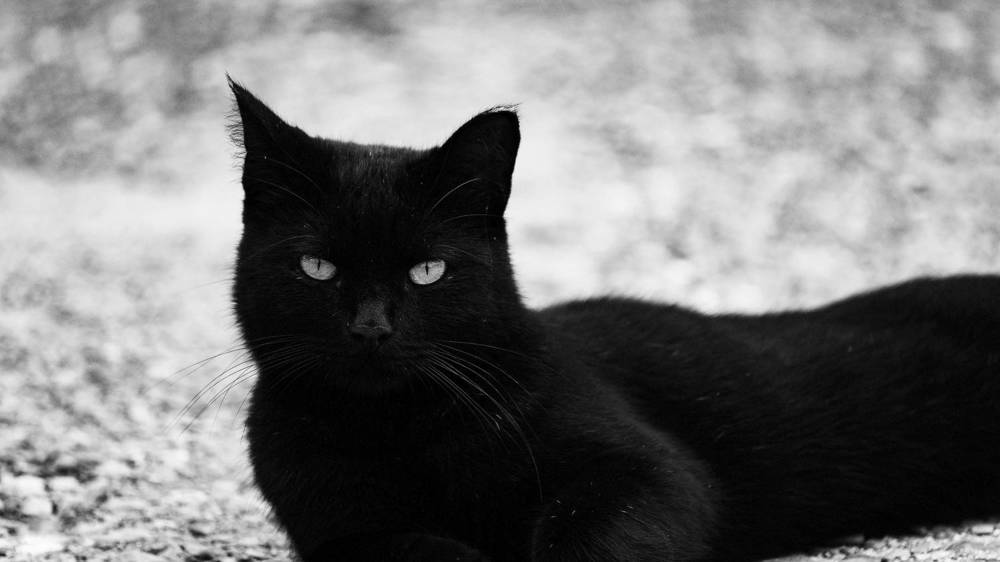 Photograph by Вадим Басов