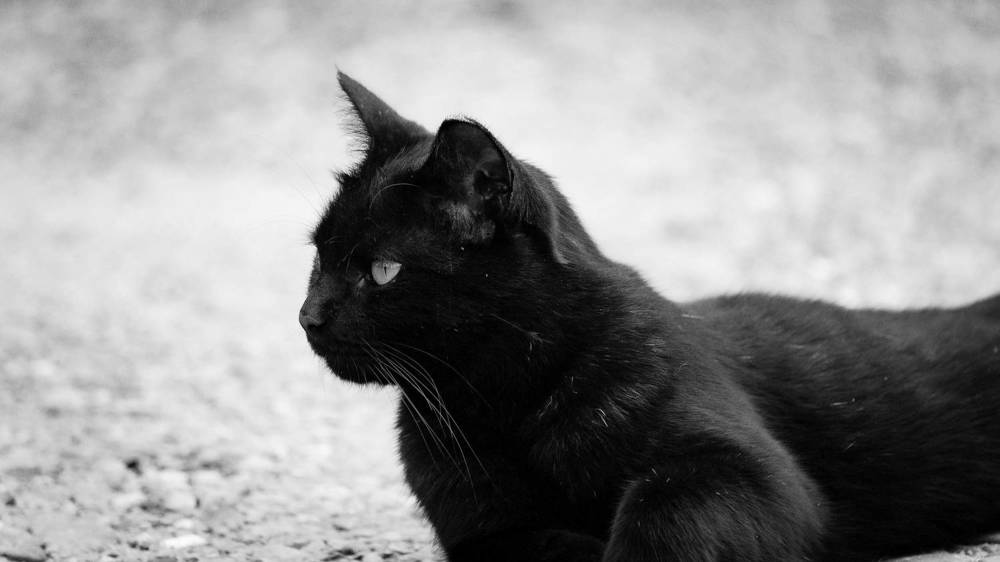 Photograph by Вадим Басов