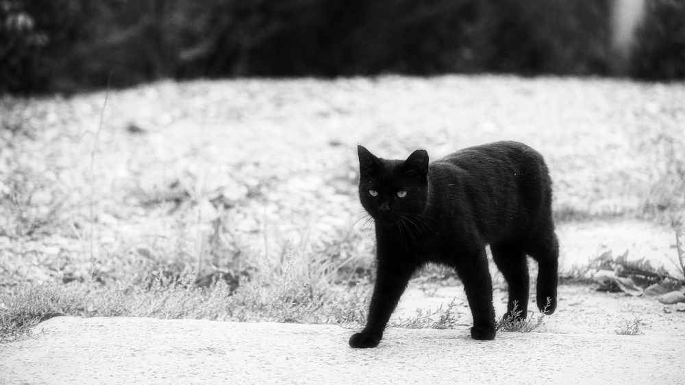 Photograph by Вадим Басов