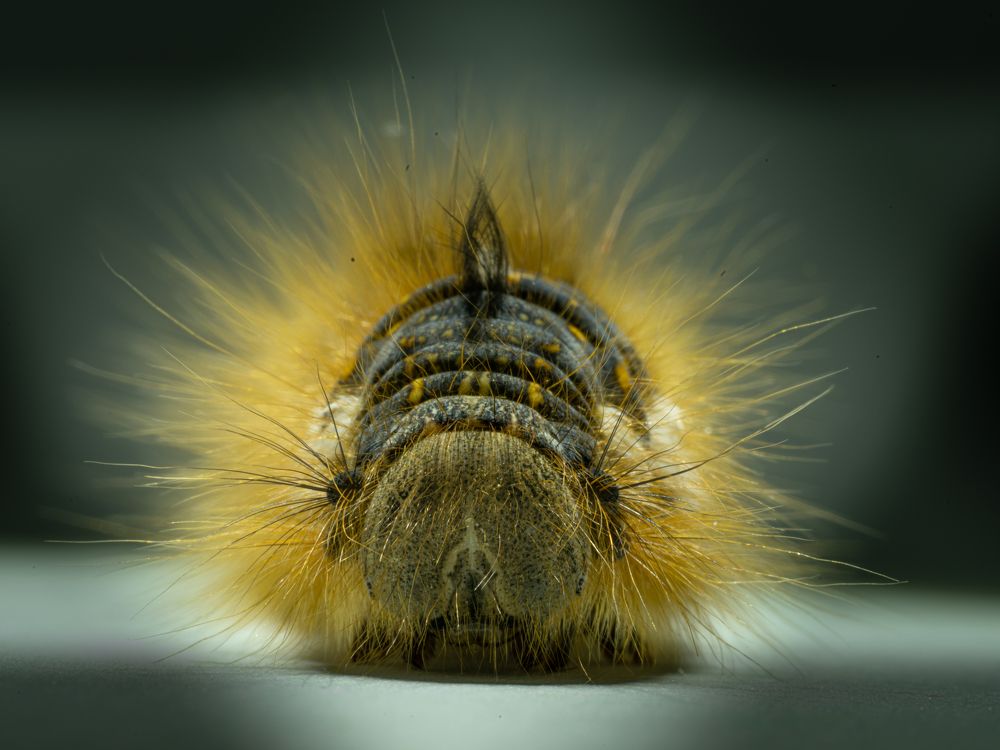 Photograph by Алексей Евсеенков