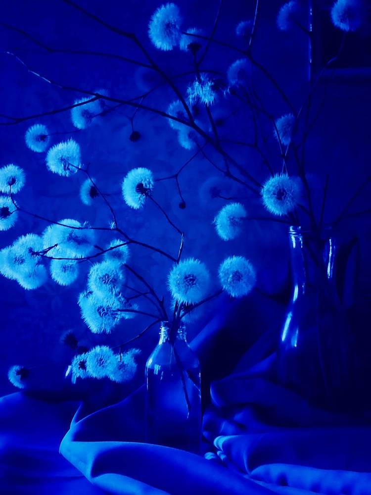 Photograph by Елена Кирикова