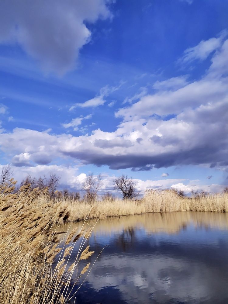 Photograph by Ольга Чернова