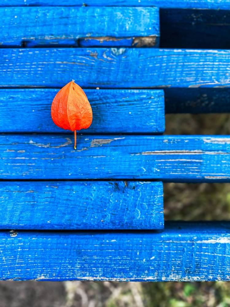 Photograph by Екатерина Козлова