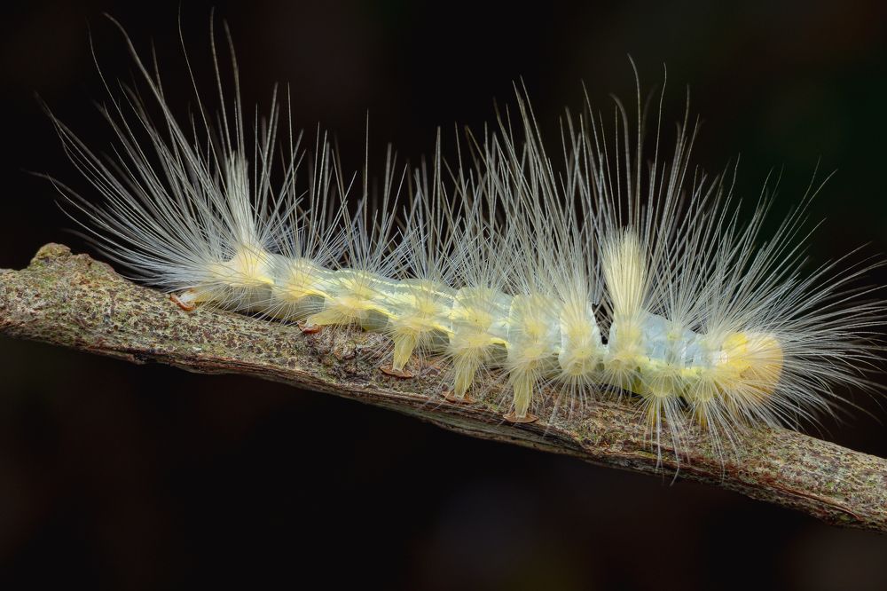 Photograph by Shahrul_Laili