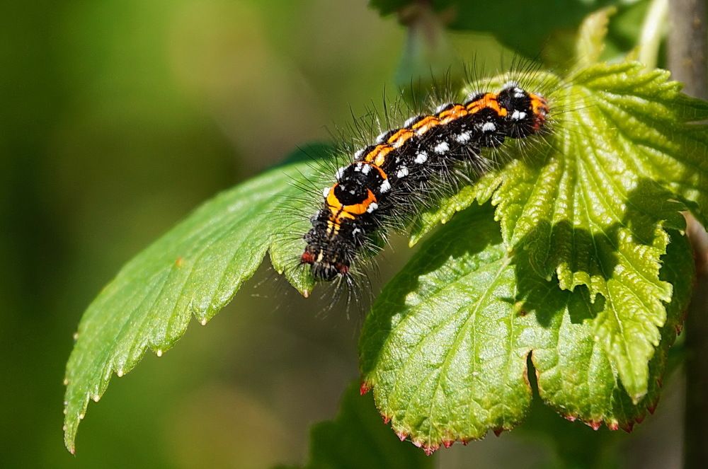 Photograph by Галина Кан