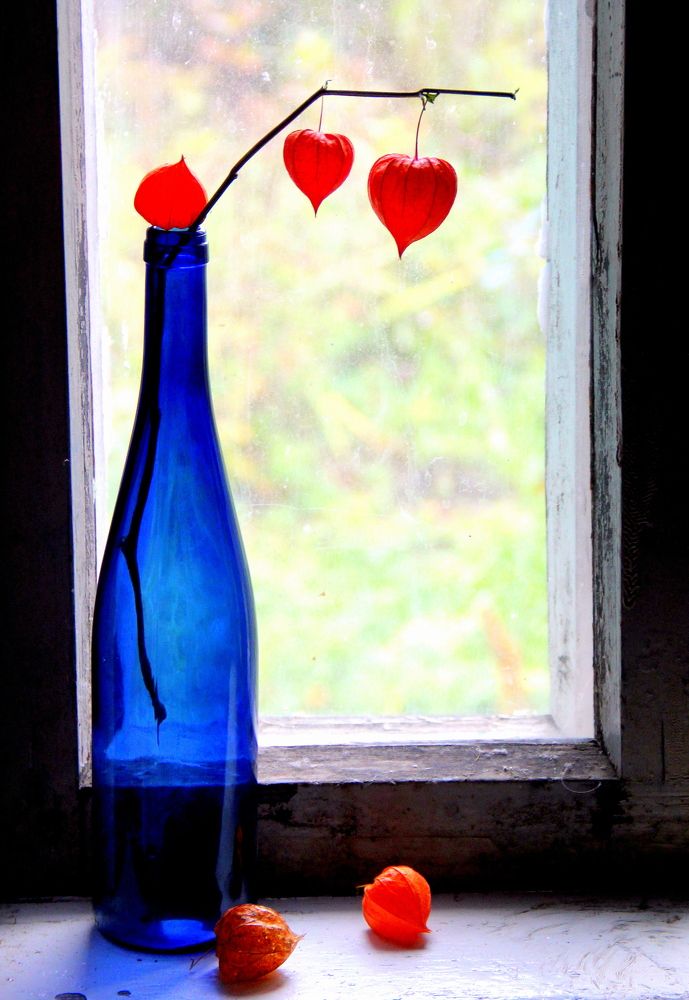 Photograph by Жанна Нечаева