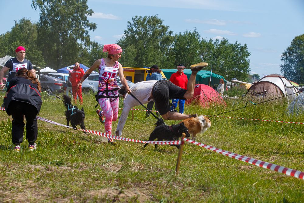 Photograph by Людмила Бандурина