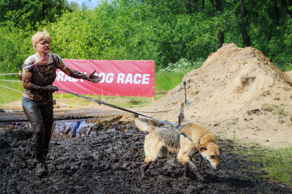 Photograph by Людмила Бандурина