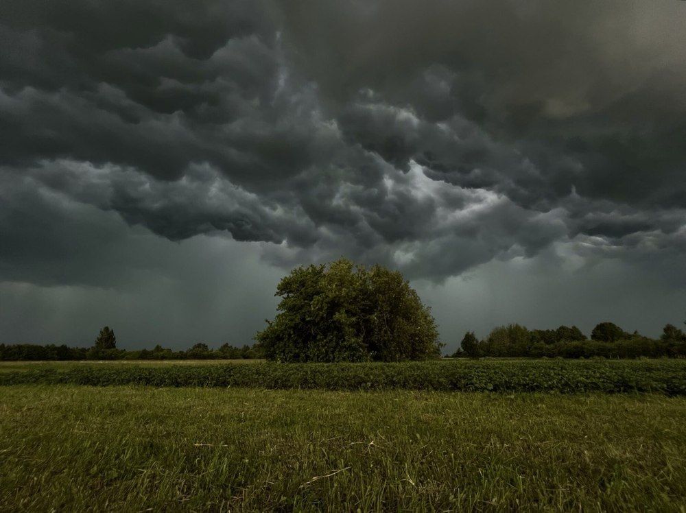 Photograph by Ольга