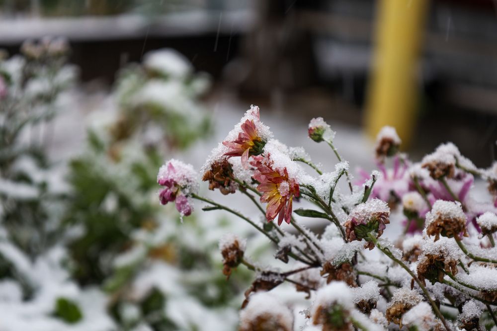 Photograph by Дарья Целуйко