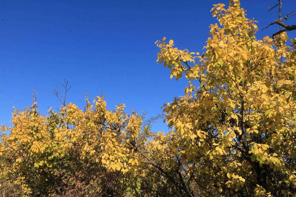 Photograph by Cengiz Yalcin