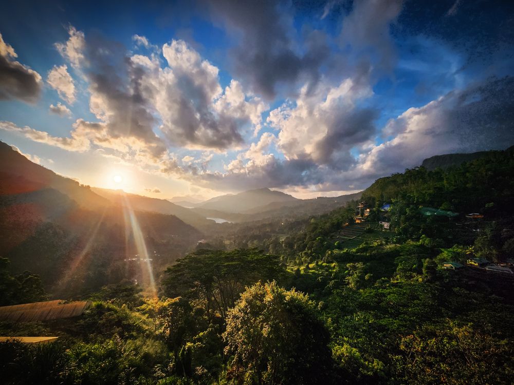 Photograph by Элен Пройс