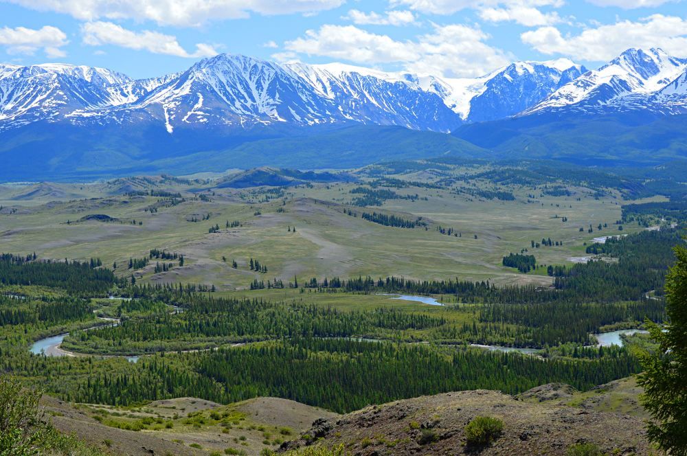 Photograph by Елена Савчук