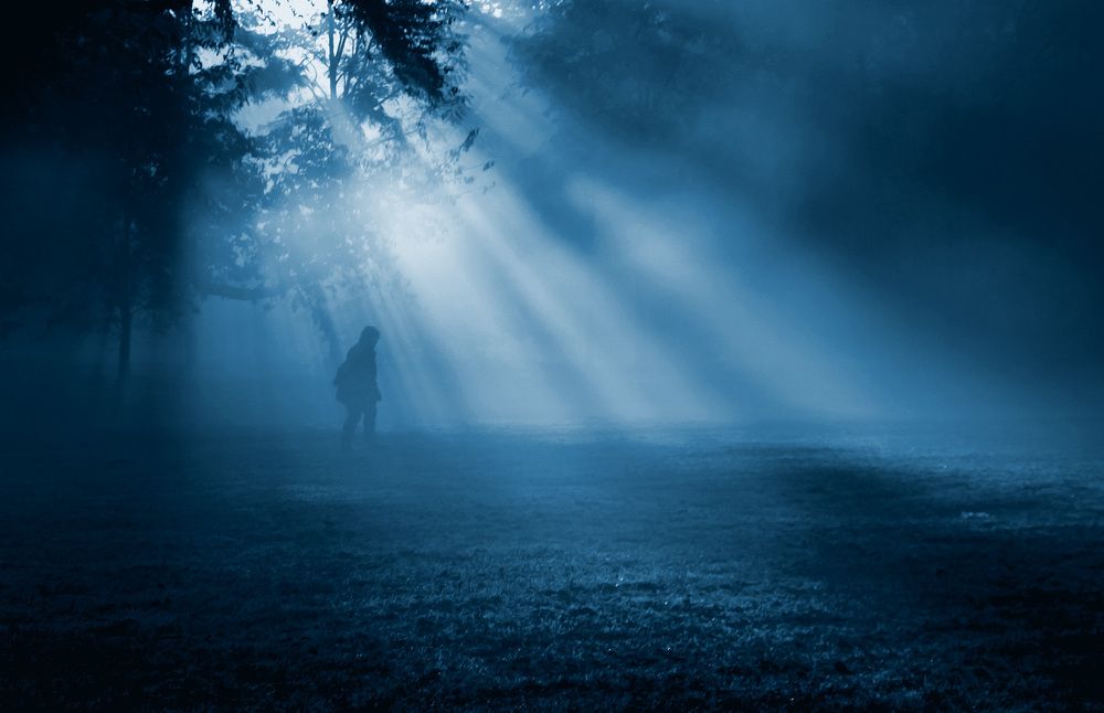 Фотография автора Александр