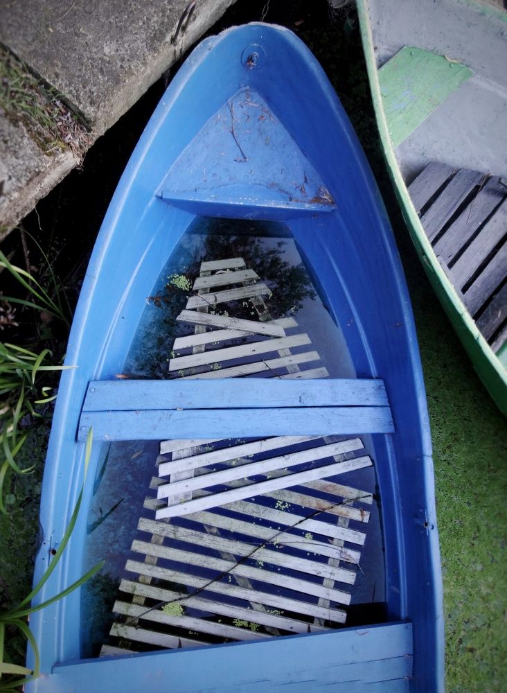 Фотография автора Геннадий Ломеко