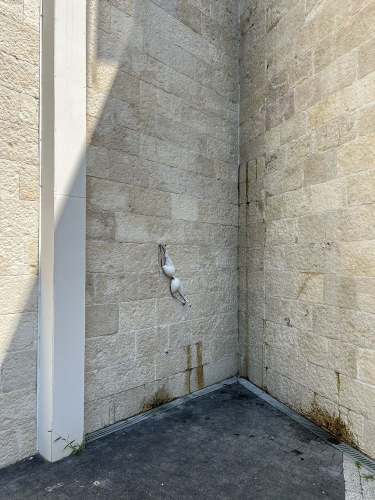 Photograph by Александра Тимошенко