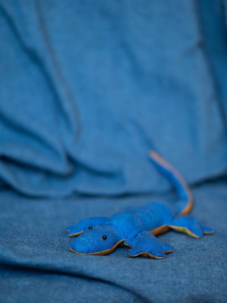 Фотография автора Доляна Ашкова