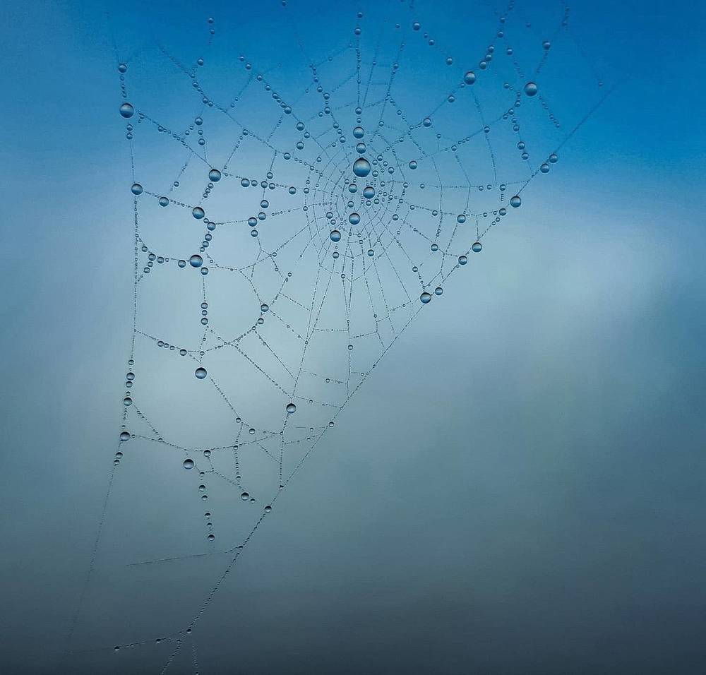 Photograph by Natasha Kim