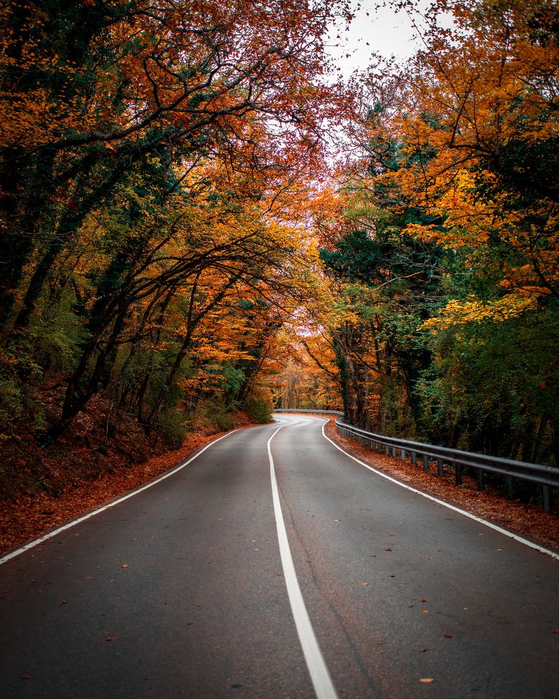 Фотография автора Юлия Вишневская