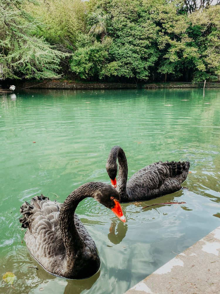 Photograph by Мария Петрова