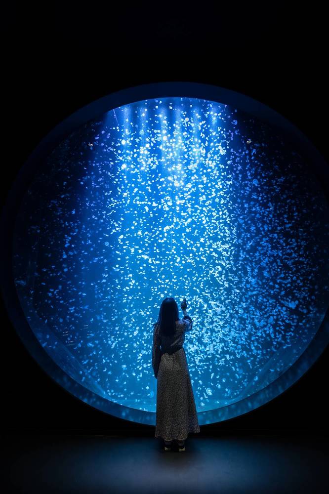 Photograph by NAGUMO SHUTO