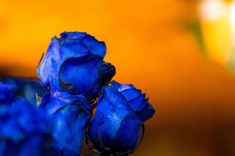 Photograph by Siarhei Saladukhin