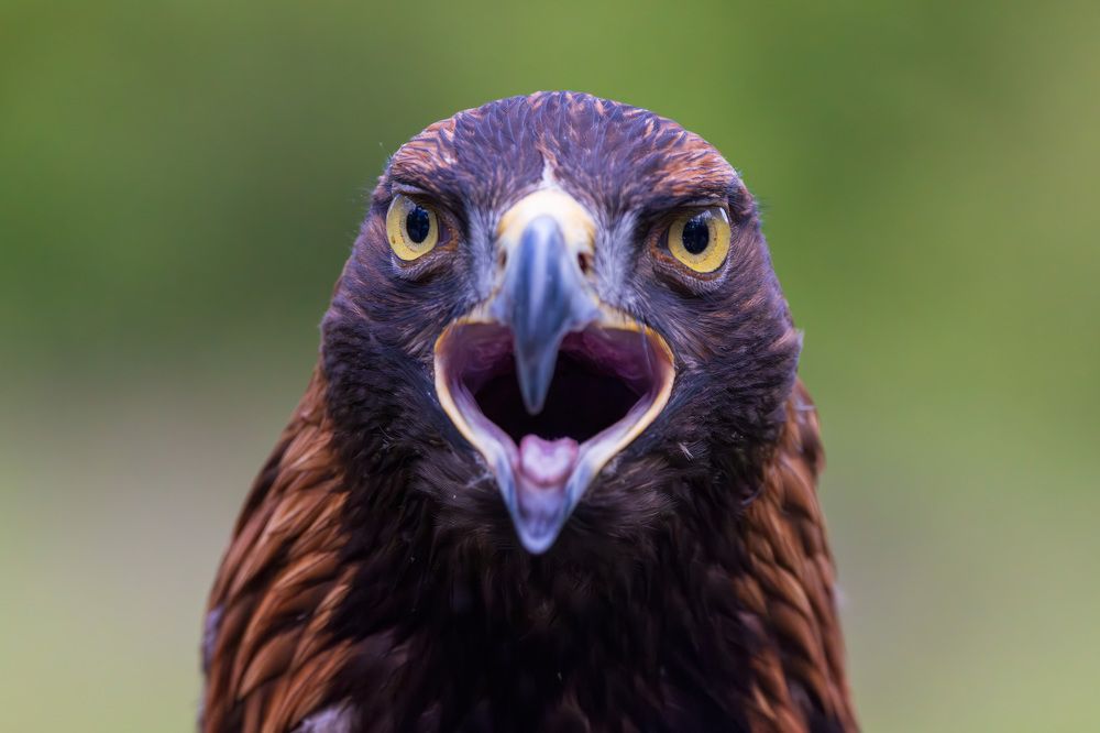 Photograph by Abhishek