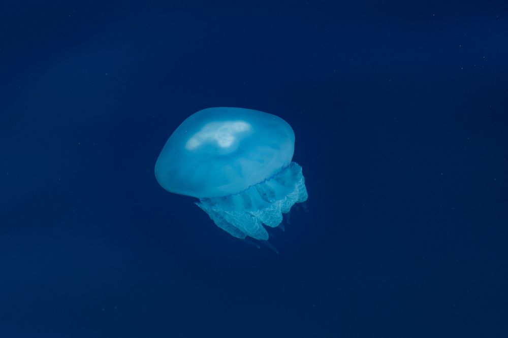 Photograph by Siarhei Saladukhin