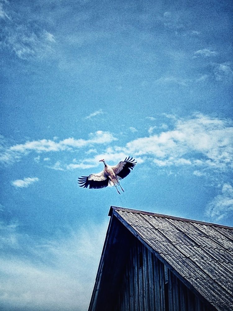 Photograph by Nastassia Krychautsova